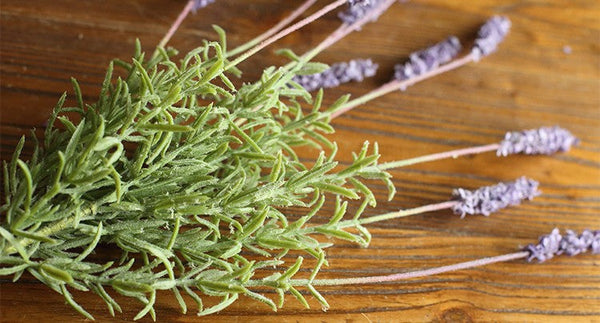 Lavender Flowers, Spring Artificial Floral for Dining Room, Bedroom Flower Arrangement Ideas, Simple Modern Floral Arrangement Ideas for Home Decoration-Art Painting Canvas