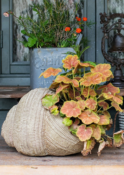 Snail Flowerpot for Garden Decoration, Cute Snail Statues, Garden Animal Statues, Unique Modern Garden Sculptures, Creative Villa Outdoor Gardening Ideas-Art Painting Canvas