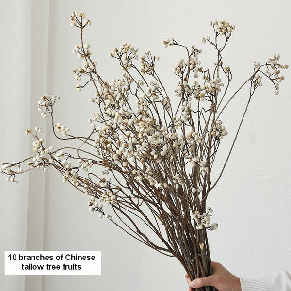 Dried Tree Twigs, Flower Arrangement, Dried Chinese Tallow Tree Twigs, Natural Decorations, Handmade Artificial Flower, Natural Dried Branches-Art Painting Canvas