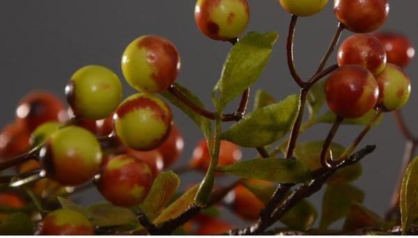 Rustic Artificial Autumn Fruit, Stem 28" Tall, Flower Arrangement, Botanicial Plant-Art Painting Canvas