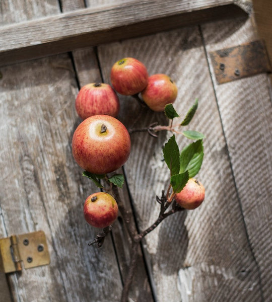 Apple Branch, Fruit Branch, Table Centerpiece, Beautiful Modern Flower Arrangement Ideas for Home Decoration, Autumn Artificial Floral for Dining Room-Art Painting Canvas