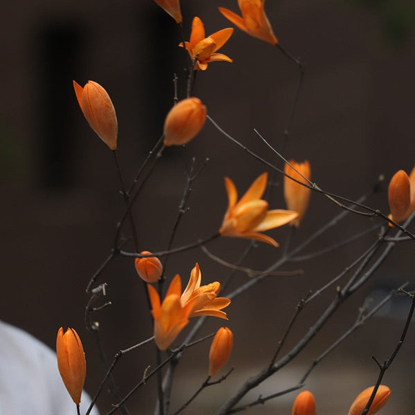 Dried Magnolia Branch, Magnolia Long Twigs, Natural Decorations, Flower Arrangement, Handmade Artificial Flower, Natural Dried Branches-Art Painting Canvas