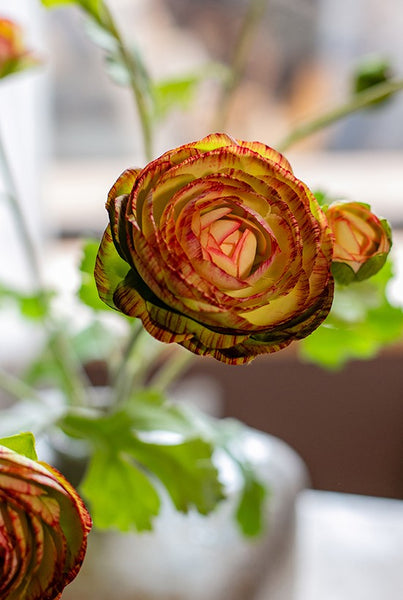 Dining Room Flower Arrangement Ideas, Ranunculus Asiaticus Flowers, Simple Modern Floral Arrangement Ideas for Home Decoration, Spring Artificial Floral for Bedroom-Art Painting Canvas