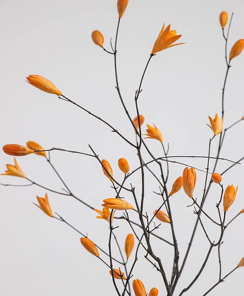 Magnolia Long Twigs, Natural Decorations, Dried Magnolia Branch, Flower Arrangement, Handmade Artificial Flower, Natural Dried Branches-Art Painting Canvas