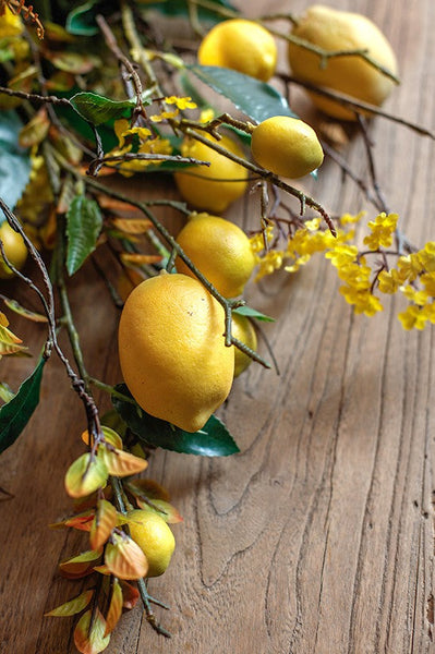 Lemon Branch, Fragrans stems, Fern leaf, Creative Flower Arrangement Ideas for Home Decoration, Unique Artificial Flowers, Simple Artificial Floral for Dining Room Table-Art Painting Canvas