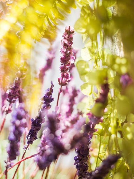 Lavender Flowers, Spring Artificial Floral for Dining Room, Bedroom Flower Arrangement Ideas, Simple Modern Floral Arrangement Ideas for Home Decoration-Art Painting Canvas