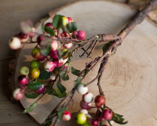 Cranberry Fruit Branch, Flower Arrangement Ideas for Living Room, Unique Artificial Flowers for Home Decoration, Spring Artificial Floral for Bedroom-Art Painting Canvas
