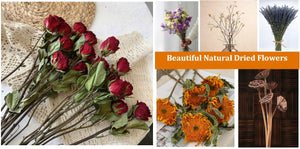 Natural Dried Flower Bouquet, A Bunch of Dried Flowers, Modern Flower Arrangements, Handmade Artificial Flowers, Natural Dried Twigs