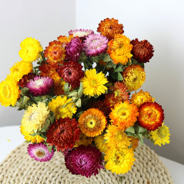 Natural Dried Daisy Flowers, Flower Arrangements, Natural Decorations, A Bunch of Dried Daisy Flowers, Handmade Artificial Flowers for Home Decor-Art Painting Canvas