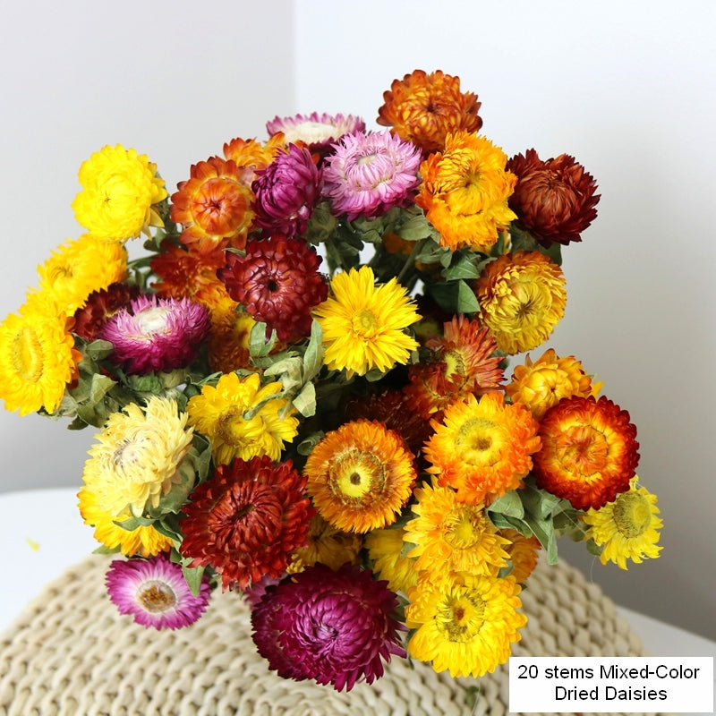 Natural Dried Daisy Flowers, Flower Arrangements, Natural Decorations, A Bunch of Dried Daisy Flowers, Handmade Artificial Flowers for Home Decor-Art Painting Canvas