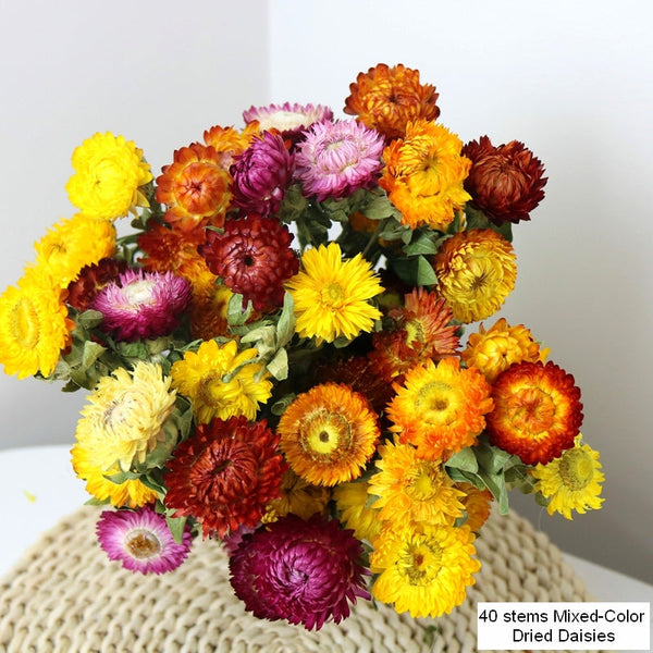 Natural Dried Daisy Flowers, Flower Arrangements, Natural Decorations, A Bunch of Dried Daisy Flowers, Handmade Artificial Flowers for Home Decor-Art Painting Canvas