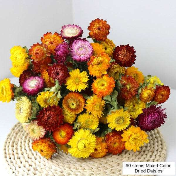 Natural Dried Daisy Flowers, Flower Arrangements, Natural Decorations, A Bunch of Dried Daisy Flowers, Handmade Artificial Flowers for Home Decor-Art Painting Canvas