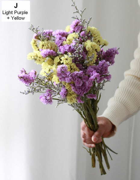 A Bunch Dried Myosotis Flowers with Limoniums, Dried Flowers, Flower Bunches, Dried Floral-Art Painting Canvas