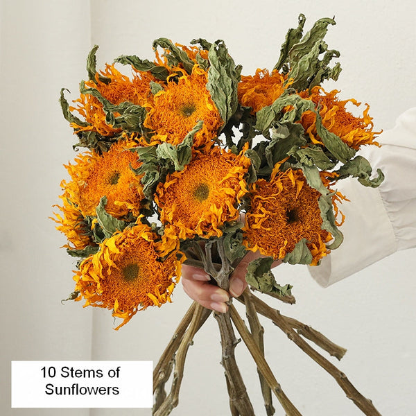A Bunch of Sunflowers, Natural Decorations, Flower Arrangement, Handmade Artificial Flowers for Home Decor, Natural Dried Sunflower Stems-Art Painting Canvas