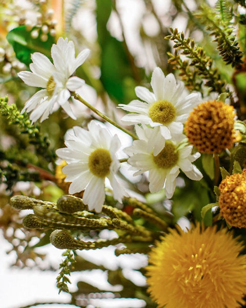 Beautiful Modern Artificial Flowers for Dining Room Table, Dandelion, Wheat Branch, Eucalyptus Globulus, Unique Flower Arrangement for Home Decoration-Art Painting Canvas