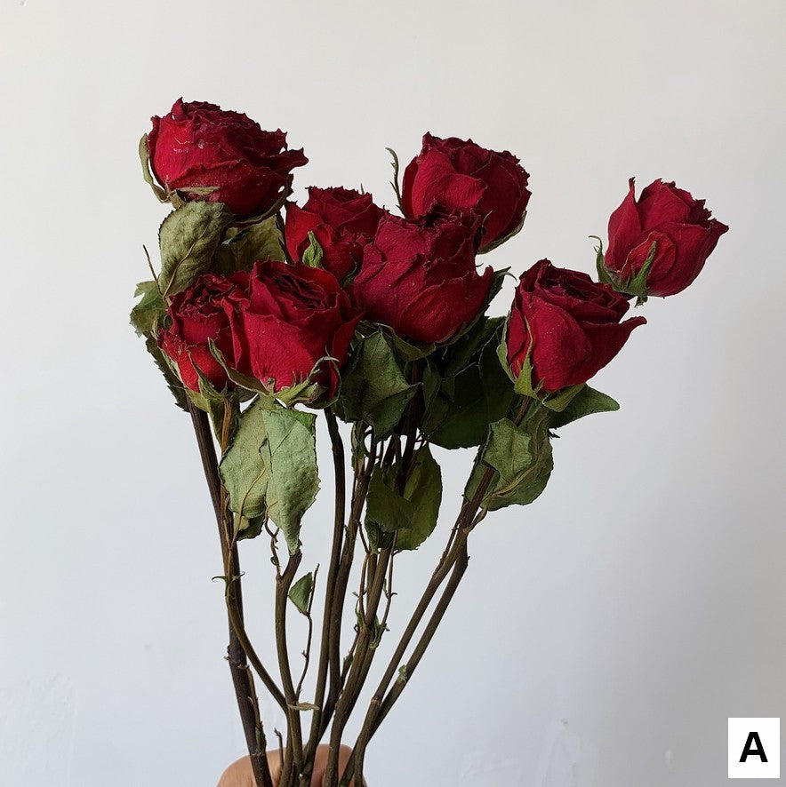 Rose Floral Bouquet, Dried Rose Flowers, Natural Dried Rose Flower Bunches, A Bunch Dried Rose Flowers, Red Yellow Purple Dried Rose Flowers-Art Painting Canvas