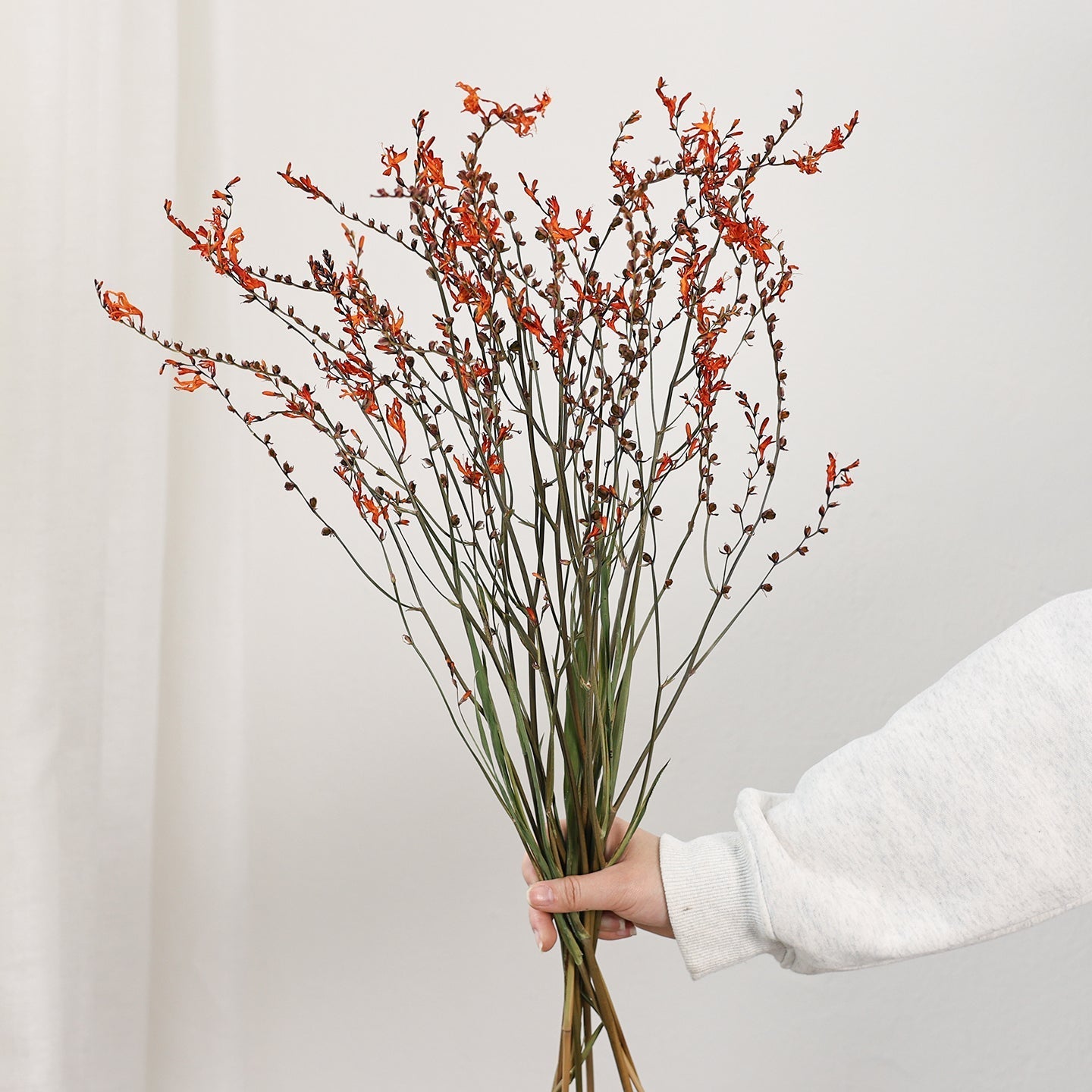 Dried Fire Orchid Bouquet, Natural Decorations, Flower Arrangement, Handmade Artificial Flower, Natural Dried Flowers-Art Painting Canvas