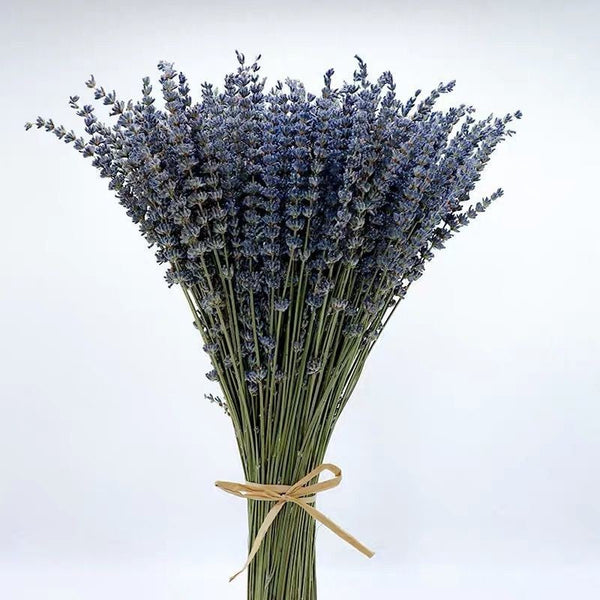 Natural Dried Lavender Flower Bouquet, Natural Dried Lavender Flowers, A Bunch of Dried Lavender Flowers, Handmade Artificial Flowers for Home Decor, Flower Arrangements-Art Painting Canvas