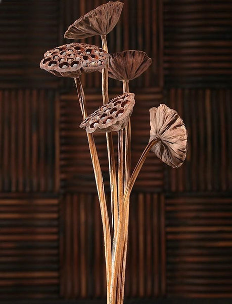 10 Stems Lotus Pods, Dried Lotus Pods, Natural Decor, Rustic Decor, Lotus Flower Arrangement-Art Painting Canvas