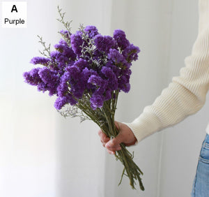 Natural Dried Flower Bunches, Dried Floral, Dried Flowers, A Bunch Dried Myosotis Flowers with Limoniums-Art Painting Canvas
