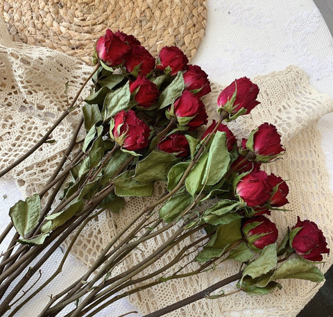 Natural Dried Rose Flower Bunches, Dried Rose Floral Bouquet, Dried Flowers, A Bunch Dried Rose Flowers, Red Yellow Purple Dried Rose Flowers-Art Painting Canvas