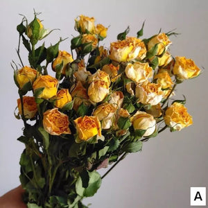 A Bouquet of Dried Rose Flowers, Dried Rose Flower Bouquet, Natural Dried Rose Flower Bunches, A Bunch Dried Rose Flowers, Red Yellow Purple Dried Rose Floral-Art Painting Canvas
