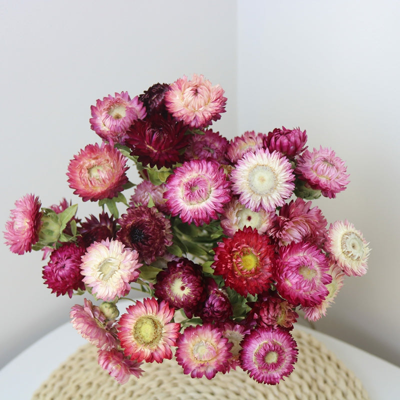 Flower Arrangements, Natural Dried Purple Daisy Flowers, Natural Decorations, A Bunch of Dried Daisy Flowers, Handmade Artificial Flowers for Home Decor-Art Painting Canvas