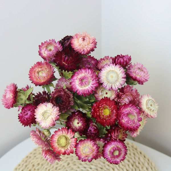 Flower Arrangements, Natural Dried Purple Daisy Flowers, Natural Decorations, A Bunch of Dried Daisy Flowers, Handmade Artificial Flowers for Home Decor-Art Painting Canvas