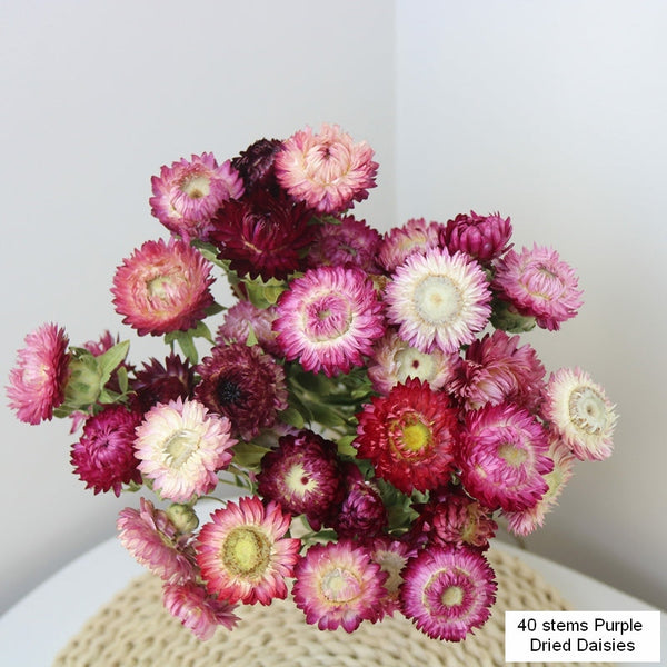 Flower Arrangements, Natural Dried Purple Daisy Flowers, Natural Decorations, A Bunch of Dried Daisy Flowers, Handmade Artificial Flowers for Home Decor-Art Painting Canvas