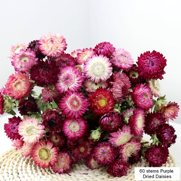 Flower Arrangements, Natural Dried Purple Daisy Flowers, Natural Decorations, A Bunch of Dried Daisy Flowers, Handmade Artificial Flowers for Home Decor-Art Painting Canvas