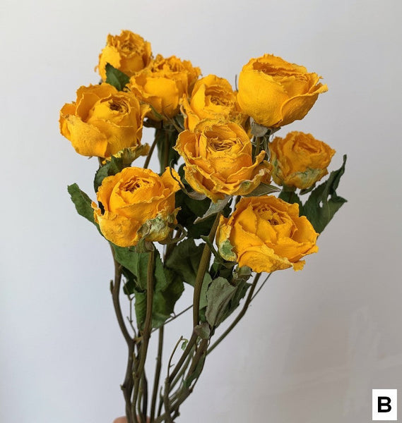 Rose Floral Bouquet, Dried Rose Flowers, Natural Dried Rose Flower Bunches, A Bunch Dried Rose Flowers, Red Yellow Purple Dried Rose Flowers-Art Painting Canvas