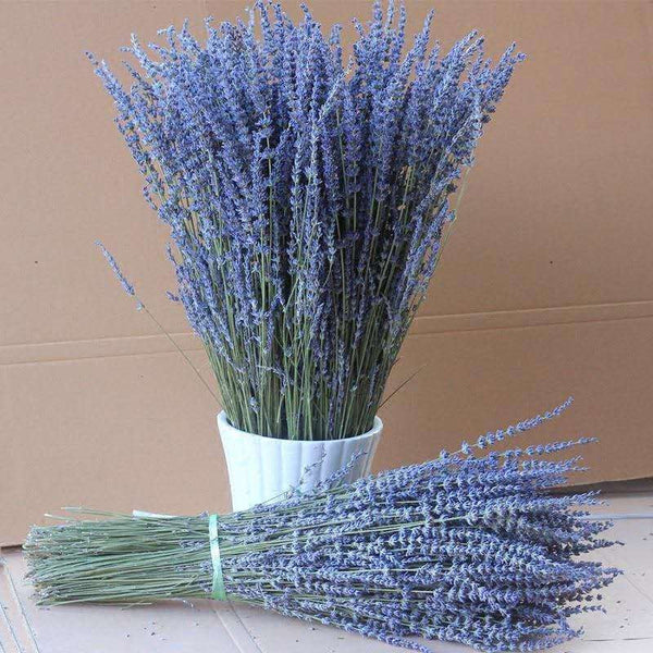 Natural Dried Lavender Flower Bouquet, Natural Dried Lavender Flowers, A Bunch of Dried Lavender Flowers, Handmade Artificial Flowers for Home Decor, Flower Arrangements-Art Painting Canvas