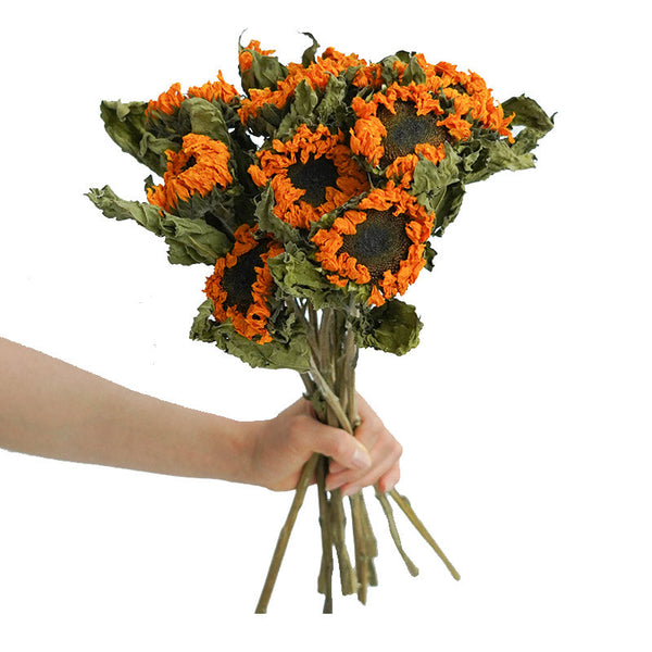 Natural Dried Sunflower Stems, Flower Arrangement, Natural Decorations, A Bunch of Sunflowers, Handmade Artificial Flowers for Home Decor-Art Painting Canvas