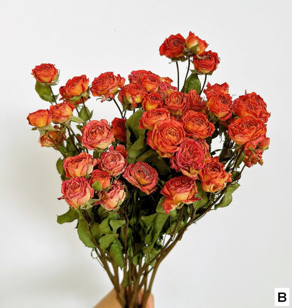 A Bouquet of Dried Rose Flowers, Dried Rose Flower Bouquet, Natural Dried Rose Flower Bunches, A Bunch Dried Rose Flowers, Red Yellow Purple Dried Rose Floral-Art Painting Canvas