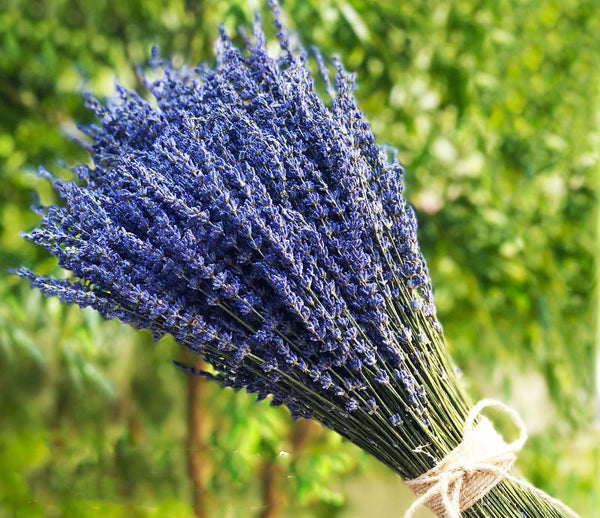 Flower Arrangements, Natural Dried Lavender Flower Bouquet, Natural Dried Lavender Flowers, A Bunch of Dried Lavender Flowers, Handmade Artificial Flowers for Home Decor-Art Painting Canvas