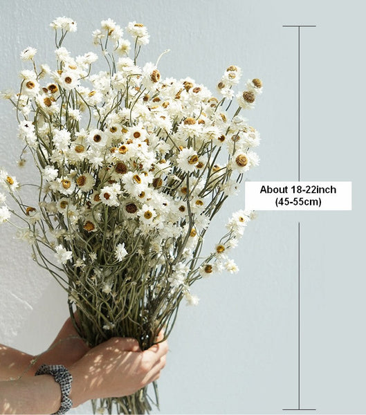 Flower Arrangements, Natural Dried Daisy Flower Bouquet, Natural Dried Daisy Flowers, A Bunch of Dried Daisy Flowers, Handmade Artificial Flowers for Home Decor-Art Painting Canvas