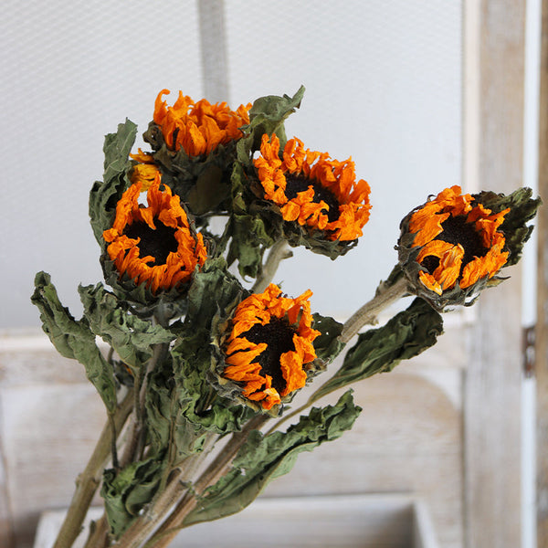 Natural Dried Sunflower Stems, Flower Arrangement, Natural Decorations, A Bunch of Sunflowers, Handmade Artificial Flowers for Home Decor-Art Painting Canvas