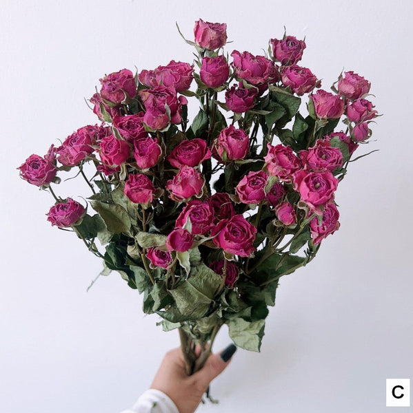 A Bouquet of Dried Rose Flowers, Dried Rose Flower Bouquet, Natural Dried Rose Flower Bunches, A Bunch Dried Rose Flowers, Red Yellow Purple Dried Rose Floral-Art Painting Canvas