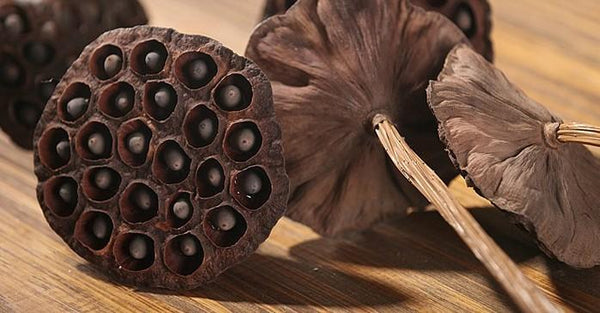 10 Stems Lotus Pods, Dried Lotus Pods, Natural Decor, Rustic Decor, Lotus Flower Arrangement-Art Painting Canvas