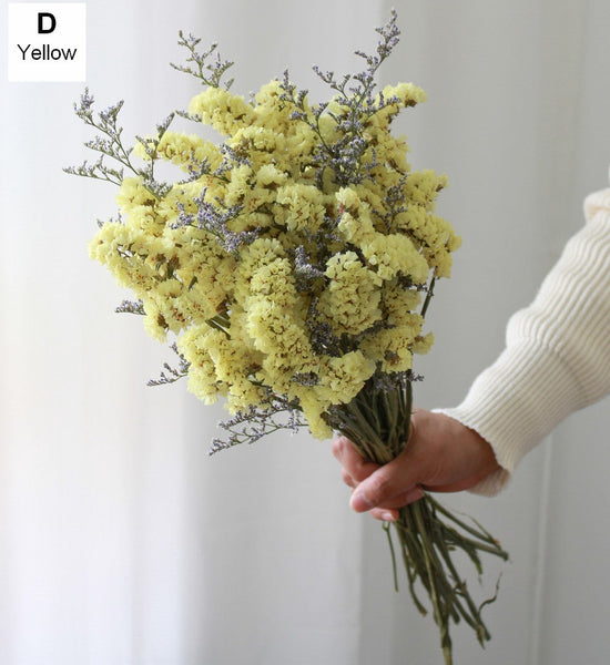 A Bunch Dried Myosotis Flowers with Limoniums, Dried Flowers, Flower Bunches, Dried Floral-Art Painting Canvas