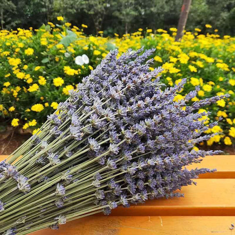 Natural Dried Lavender Flower Bouquet, Natural Dried Lavender Flowers, A Bunch of Dried Lavender Flowers, Handmade Artificial Flowers for Home Decor, Flower Arrangements-Art Painting Canvas