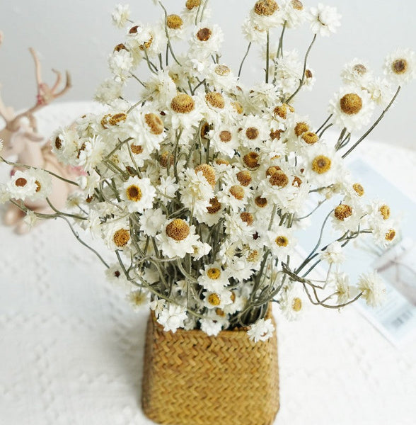 Flower Arrangements, Natural Dried Daisy Flower Bouquet, Natural Dried Daisy Flowers, A Bunch of Dried Daisy Flowers, Handmade Artificial Flowers for Home Decor-Art Painting Canvas