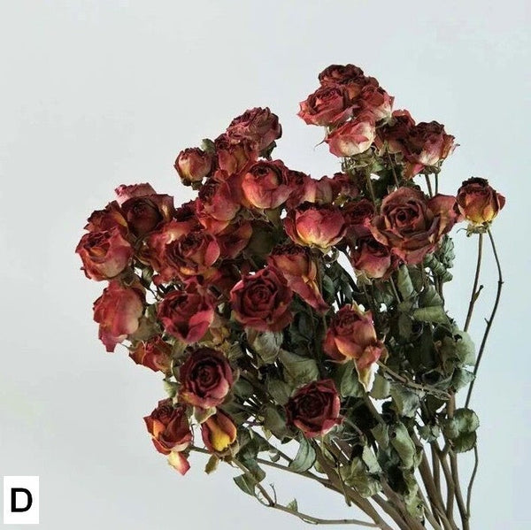 A Bouquet of Dried Rose Flowers, Dried Rose Flower Bouquet, Natural Dried Rose Flower Bunches, A Bunch Dried Rose Flowers, Red Yellow Purple Dried Rose Floral-Art Painting Canvas