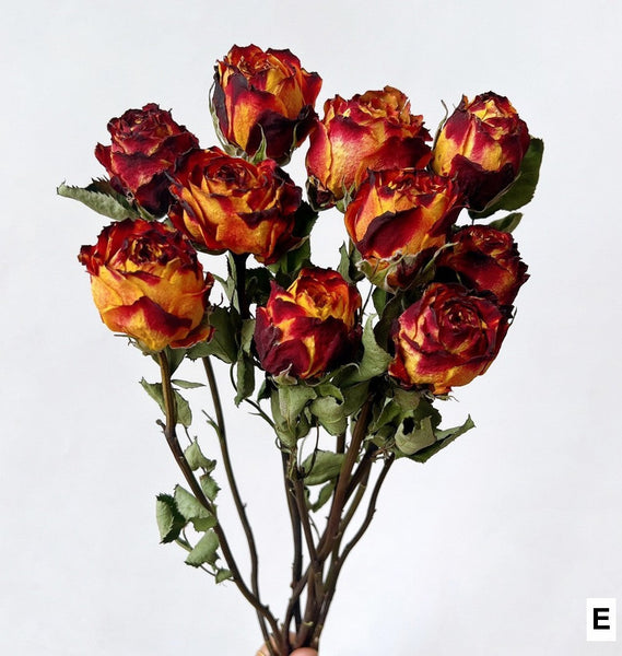 Rose Floral Bouquet, Dried Rose Flowers, Natural Dried Rose Flower Bunches, A Bunch Dried Rose Flowers, Red Yellow Purple Dried Rose Flowers-Art Painting Canvas