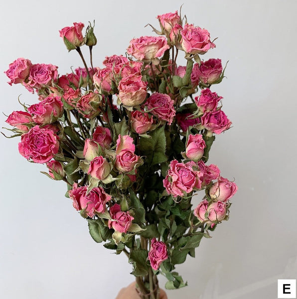 Red Yellow Purple Dried Rose Floral, Dried Rose Flower Bouquet, A Bouquet of Dried Rose Flowers, Natural Dried Rose Flower Bunches, A Bunch Dried Rose Flowers-Art Painting Canvas