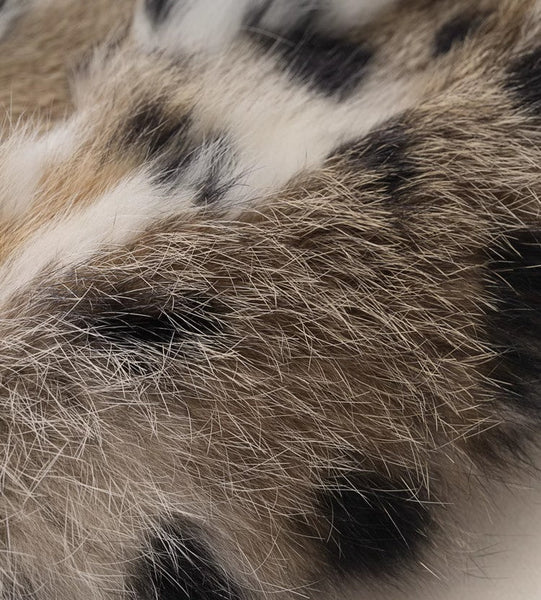 Luxury Decorative Pillow Covers, Modern Pillows for Couch, Large Modern Sofa Pillow Cases, Abstract Decorative Throw Pillows for Living Room-Art Painting Canvas