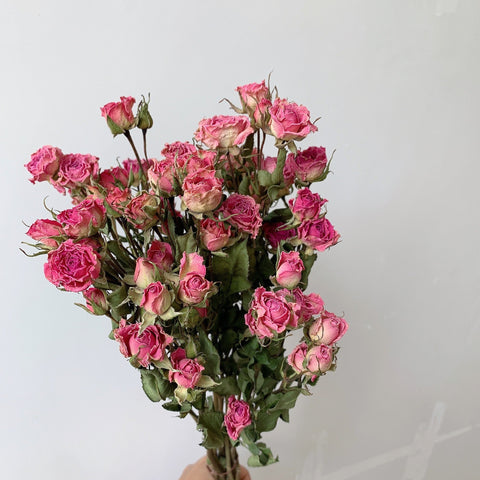 Red Yellow Purple Dried Rose Floral, Dried Rose Flower Bouquet, A Bouquet of Dried Rose Flowers, Natural Dried Rose Flower Bunches, A Bunch Dried Rose Flowers-Art Painting Canvas