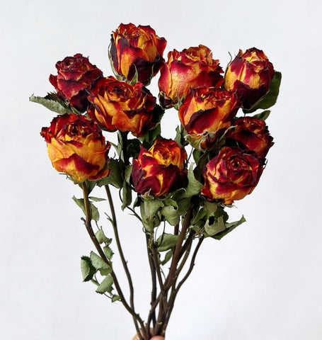Rose Floral Bouquet, Dried Rose Flowers, Natural Dried Rose Flower Bunches, A Bunch Dried Rose Flowers, Red Yellow Purple Dried Rose Flowers-Art Painting Canvas