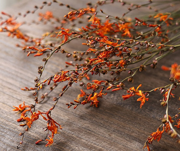 Dried Fire Orchid Bouquet, Natural Decorations, Flower Arrangement, Handmade Artificial Flower, Natural Dried Flowers-Art Painting Canvas