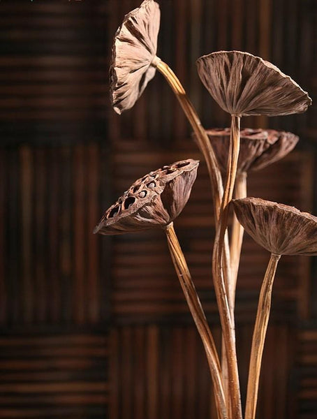 10 Stems Lotus Pods, Dried Lotus Pods, Natural Decor, Rustic Decor, Lotus Flower Arrangement-Art Painting Canvas
